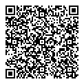 P King QR vCard