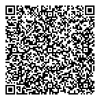 Twin Town Taxi QR vCard