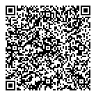 Eclipse QR vCard