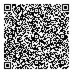 Curiosity Shop The QR vCard