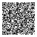 Brian Williams QR vCard