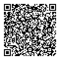 V King QR vCard