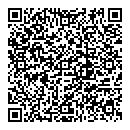 Brian Mcgrath QR vCard