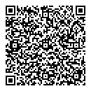 A King QR vCard