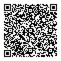V King QR vCard