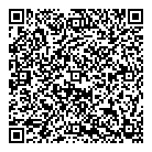 Fun 'N' Fast QR vCard