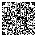 Levi G Pike QR vCard