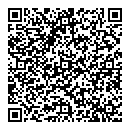 David S Taylor QR vCard