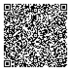 Paramount Cleaners Ii QR vCard