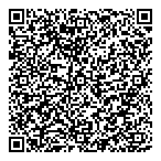 Bitnets Consulting QR vCard