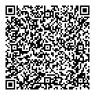 Toys More QR vCard