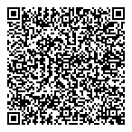 Mobile Sky Wash QR vCard