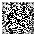 Skyline Automotive Ltd QR vCard