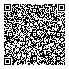 Dcm Sales QR vCard