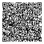 Paramount Cleaners Ii QR vCard