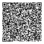 Esthetically Natural QR vCard