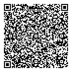 Leading Comics QR vCard