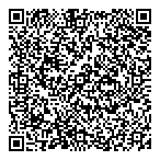 Lcd Security Systems QR vCard