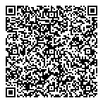 Npe Accounting QR vCard