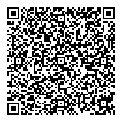 3rd Eye QR vCard