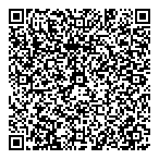 Pyramid Corporation QR vCard