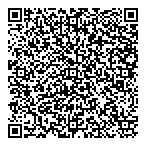 Northern Lights QR vCard