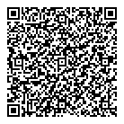 Dfi QR vCard