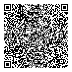 Levitt-Safety Ltd. QR vCard