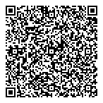 Some Other Solutions QR vCard