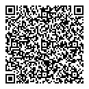 Ray Robinson QR vCard