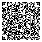 Dc Group QR vCard
