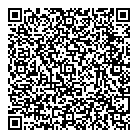 Net-a-pro QR vCard