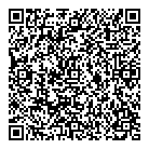 Boomtoys QR vCard