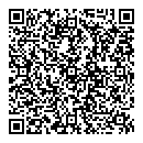 Andre Hayes QR vCard