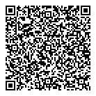 Mnp Llp QR vCard