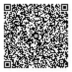 Denesoline Corporation Ltd QR vCard