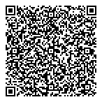 Dene Electrical Ltd QR vCard