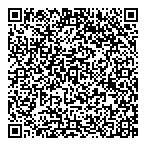 Avion Consulting QR vCard