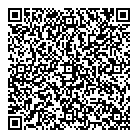 Stm Services QR vCard