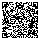 Dodi Lewis QR vCard