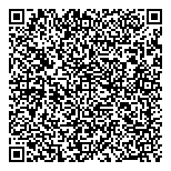 Northern Lights Frozen Delights QR vCard