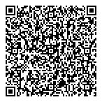 Virtually Everything QR vCard