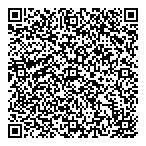 Dantel Paging System QR vCard