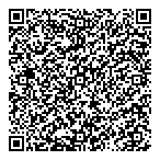 Alanco Holdings Ltd QR vCard