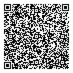 Flynn ArcticLimited QR vCard