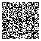 Ice Audio QR vCard