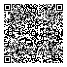 Diamondtel QR vCard