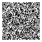 Promotion Pay QR vCard