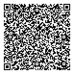 Centennial Car Star Collision QR vCard