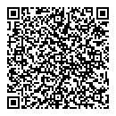 A Gallant QR vCard